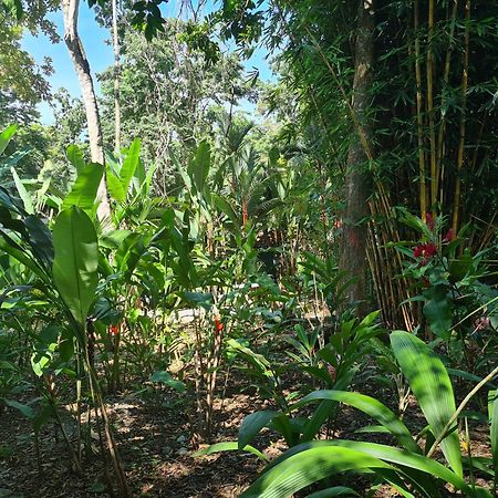 فيلا El Jardin De Playa Negra Puerto Viejo de Talamanca المظهر الخارجي الصورة