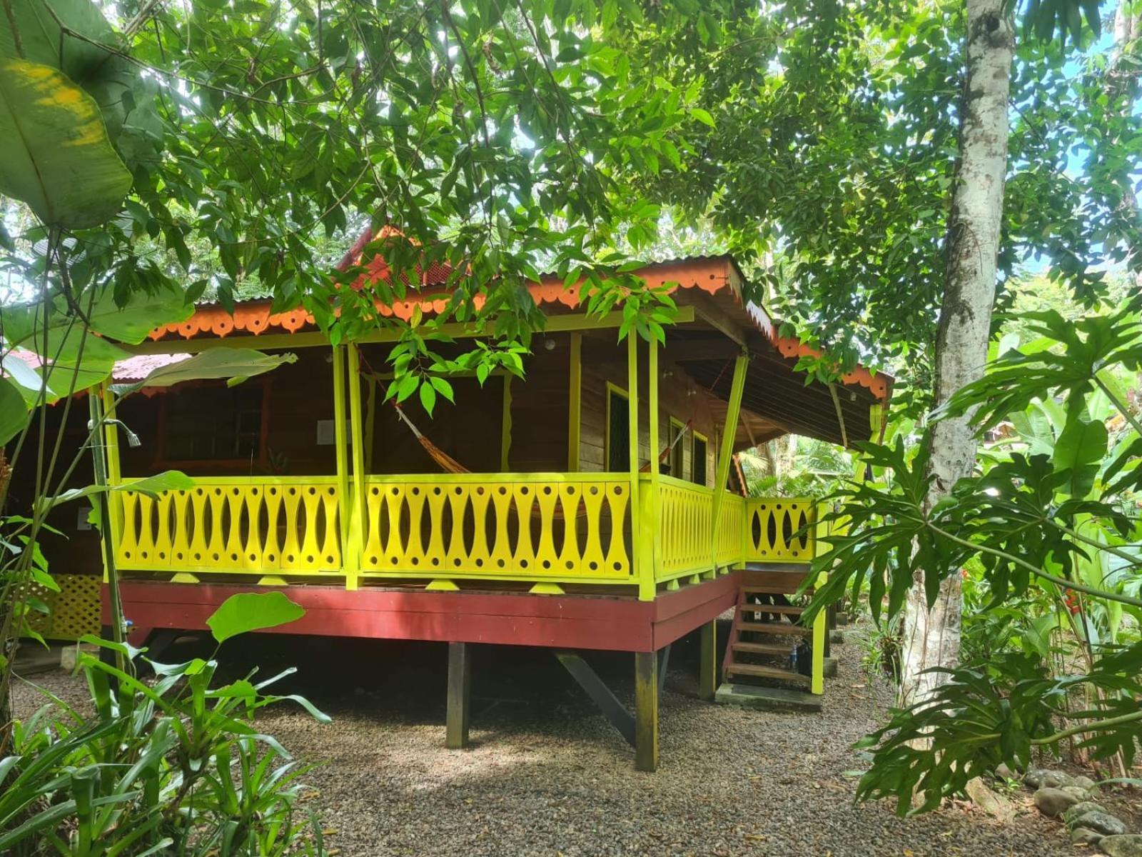 فيلا El Jardin De Playa Negra Puerto Viejo de Talamanca المظهر الخارجي الصورة