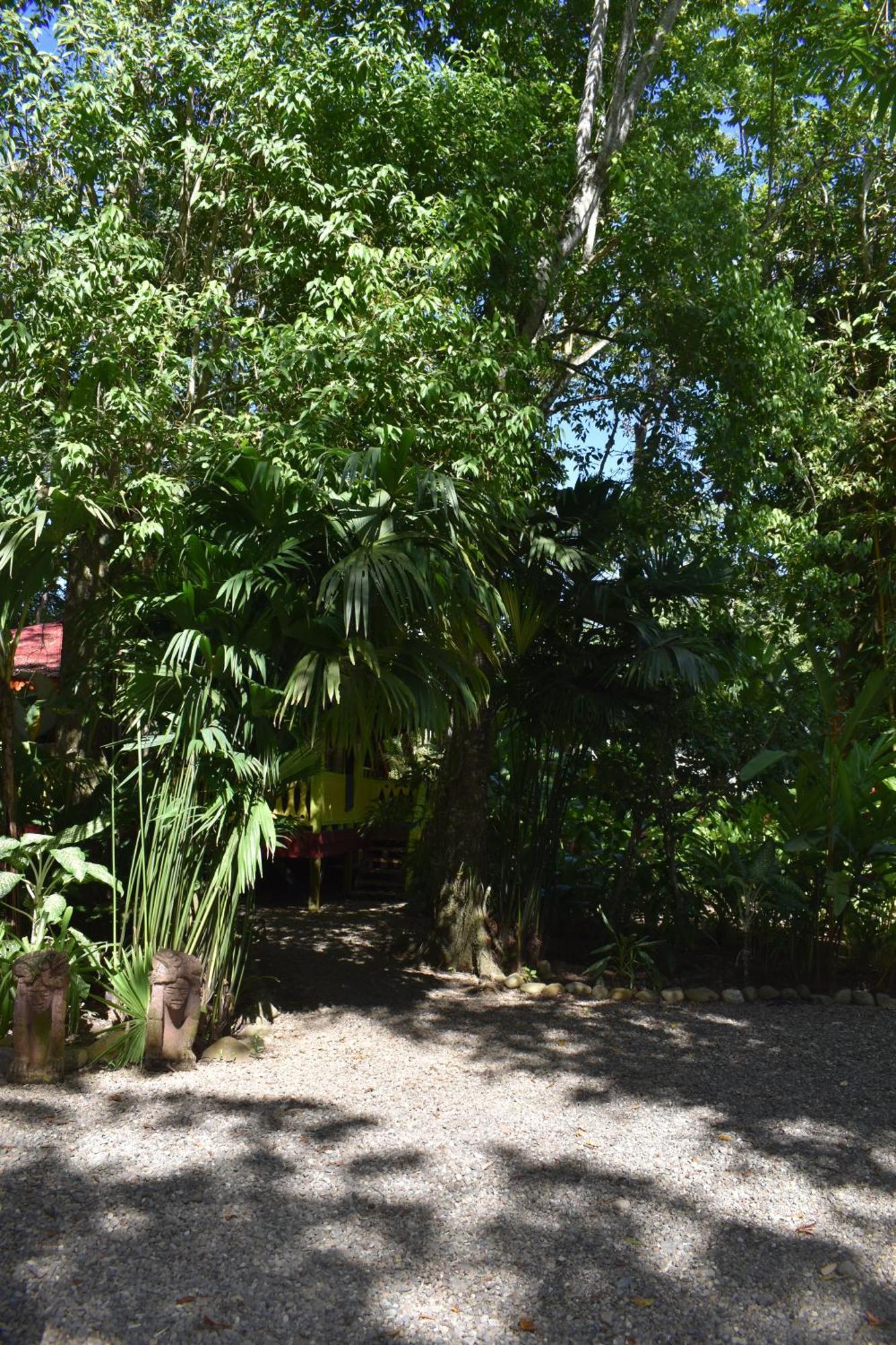 فيلا El Jardin De Playa Negra Puerto Viejo de Talamanca المظهر الخارجي الصورة