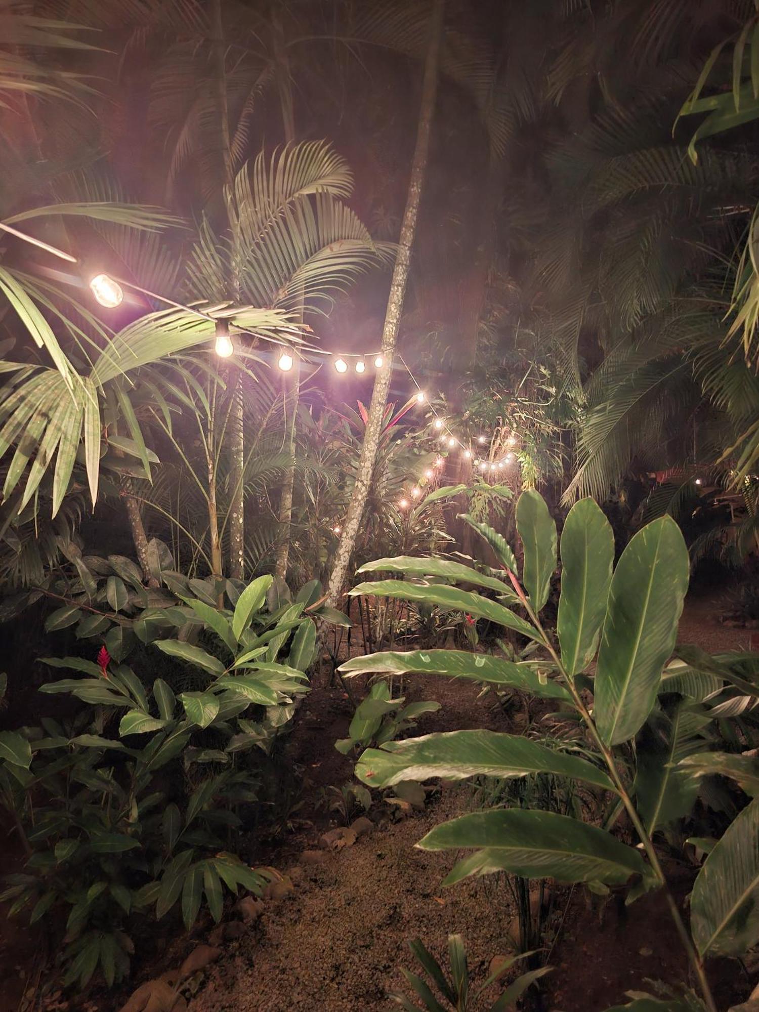 فيلا El Jardin De Playa Negra Puerto Viejo de Talamanca المظهر الخارجي الصورة