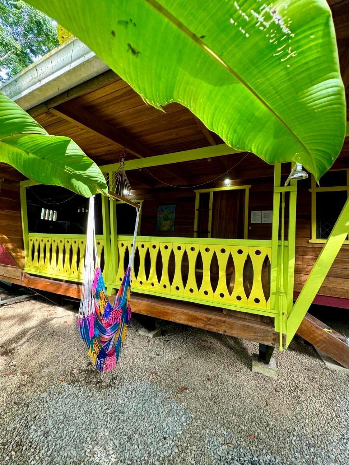 فيلا El Jardin De Playa Negra Puerto Viejo de Talamanca المظهر الخارجي الصورة