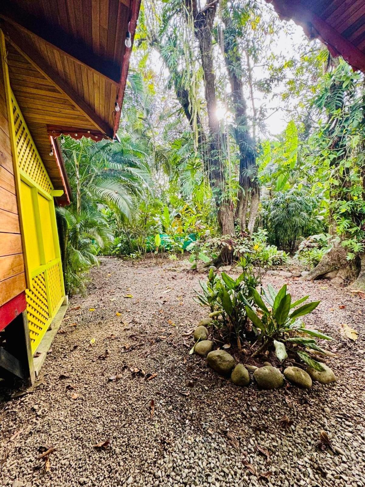فيلا El Jardin De Playa Negra Puerto Viejo de Talamanca المظهر الخارجي الصورة