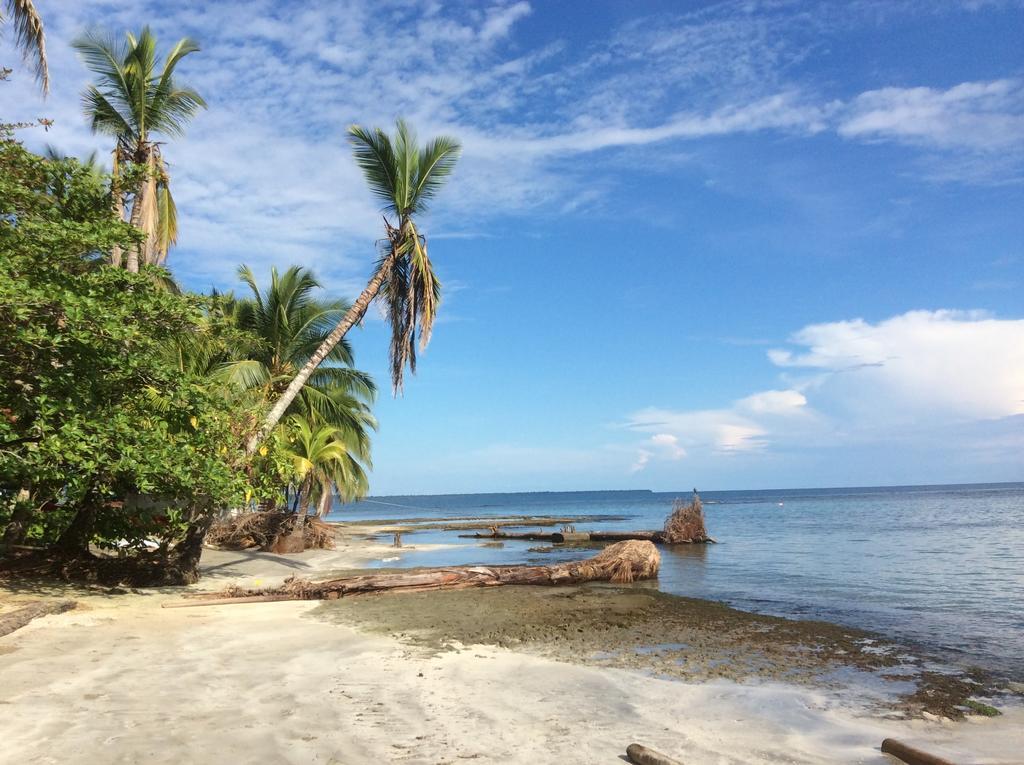 فيلا El Jardin De Playa Negra Puerto Viejo de Talamanca المظهر الخارجي الصورة