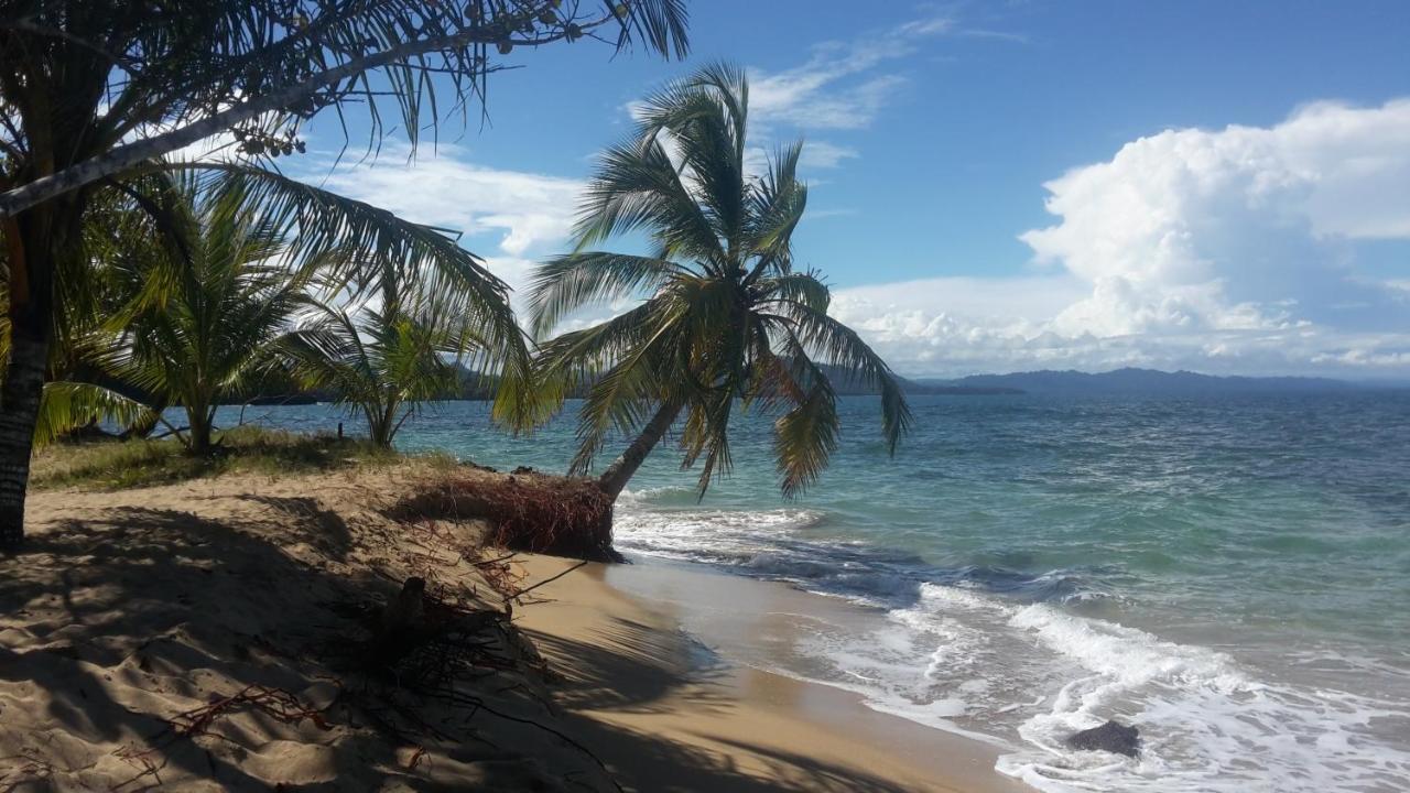 فيلا El Jardin De Playa Negra Puerto Viejo de Talamanca المظهر الخارجي الصورة